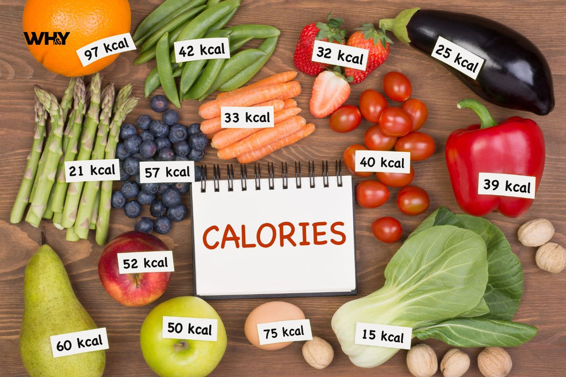 Calorie Restriction and Longevity: How Low-Calorie Diets May Slow Aging and Extend Life